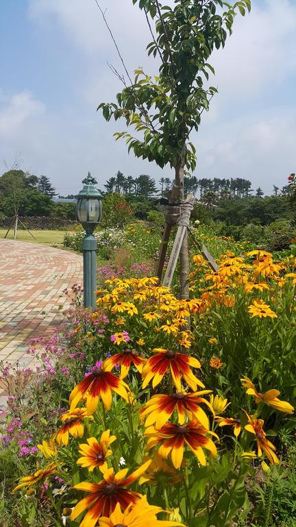 Baghdad House Villa Jeju Exterior foto