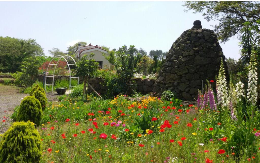 Baghdad House Villa Jeju Exterior foto