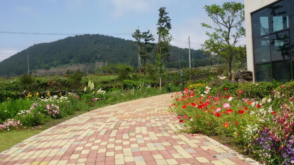 Baghdad House Villa Jeju Exterior foto