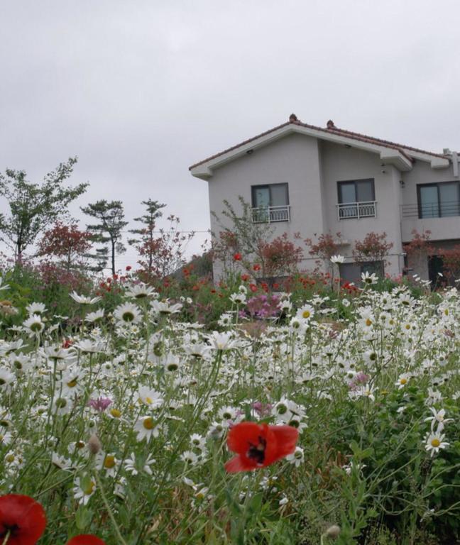 Baghdad House Villa Jeju Exterior foto