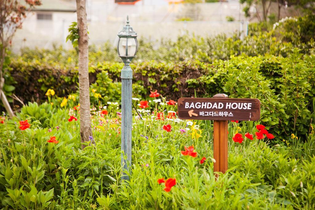 Baghdad House Villa Jeju Exterior foto