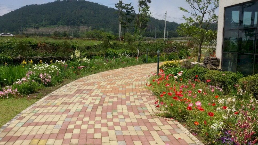Baghdad House Villa Jeju Exterior foto