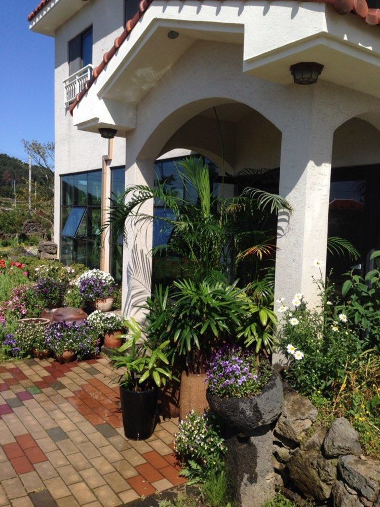 Baghdad House Villa Jeju Exterior foto